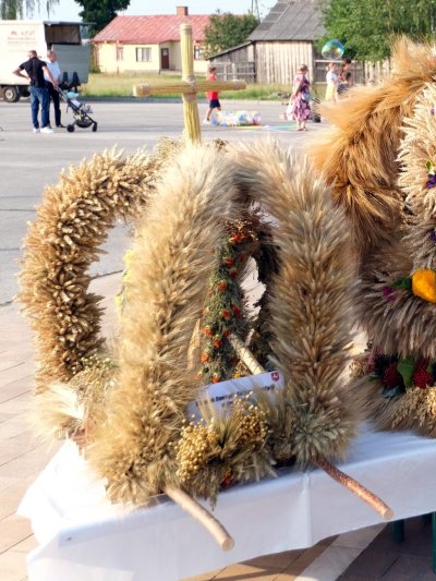 Wieńce, wianki, wianeczki [PODSUMOWANIE]